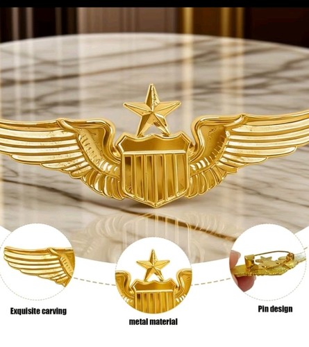 Air force senior pilot - force,
