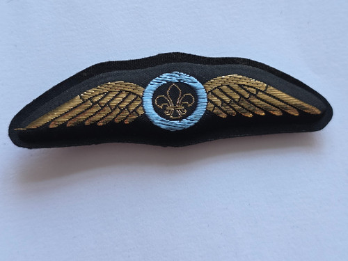 Vintage air scout - vintage, pilot