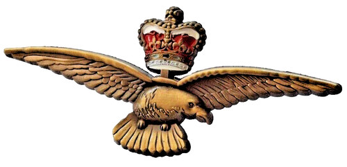 Raf pilot flügel adler und - pilot,