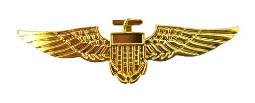 Fliegendes abzeichen pilot - abzeichen,